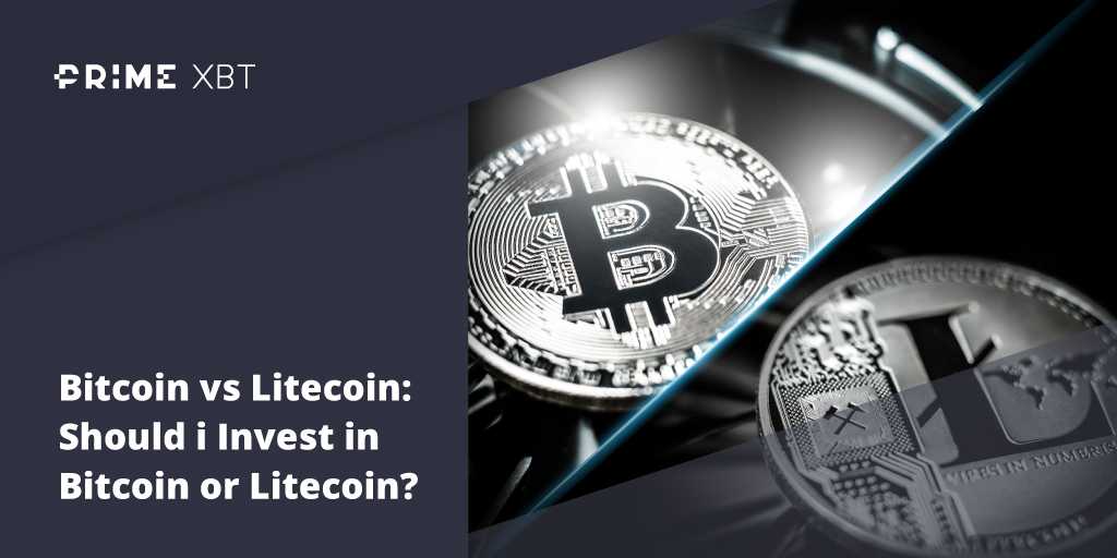 Blog Primexbt 16 11 2 - Bitcoin contro Litecoin: confronto fianco a fianco tra oro e argento digitali