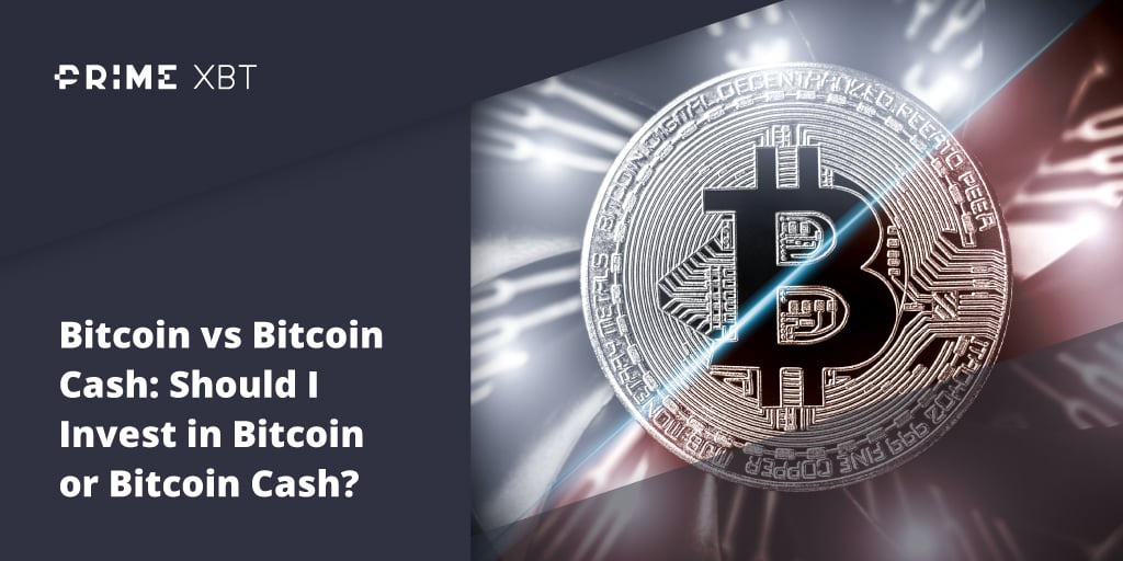 Blog Primexbt 16 11 - Bitcoin contro Bitcoin Cash: in quale degli hard fork vale la pena investire?