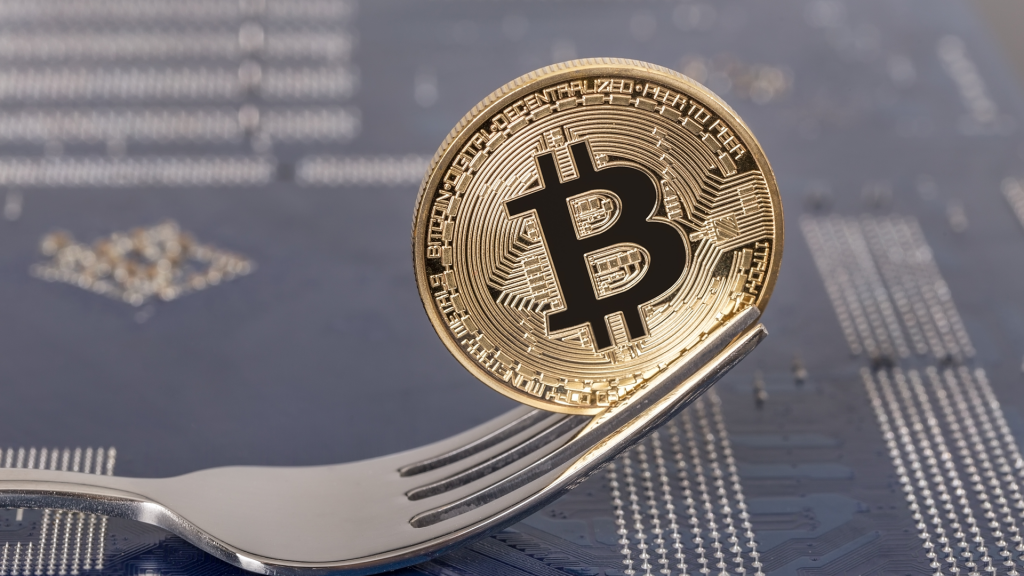 image3 1 1024x576 - Bitcoin contro Bitcoin Cash: in quale degli hard fork vale la pena investire?