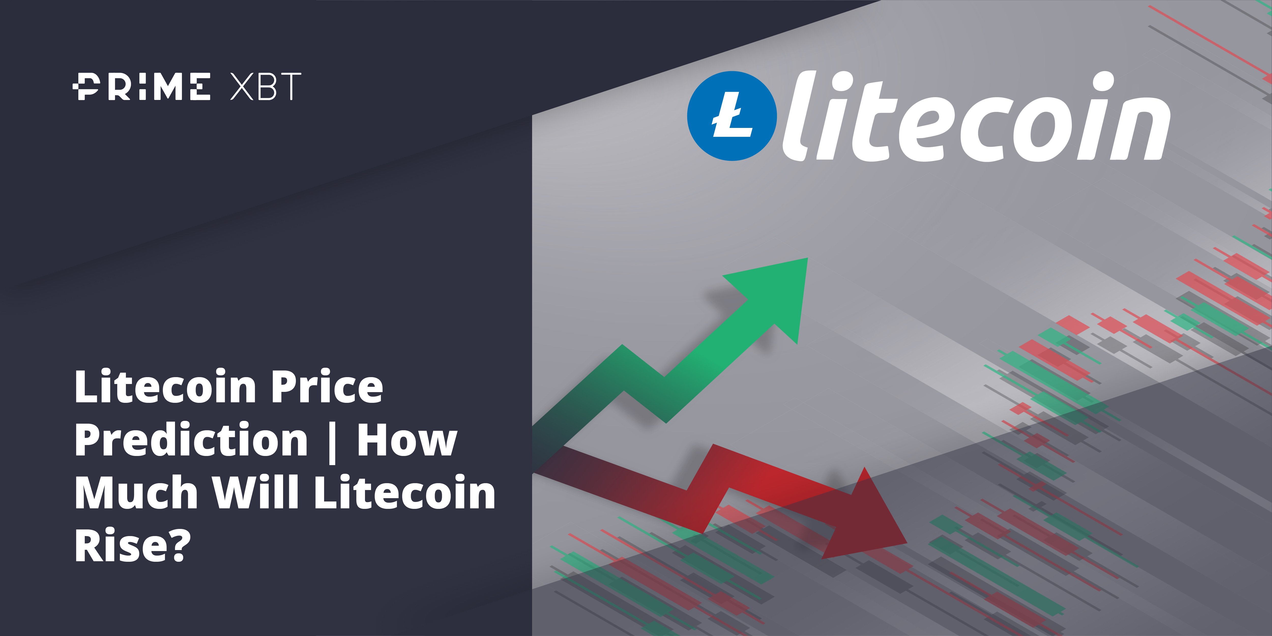 how much will litecoin go up to