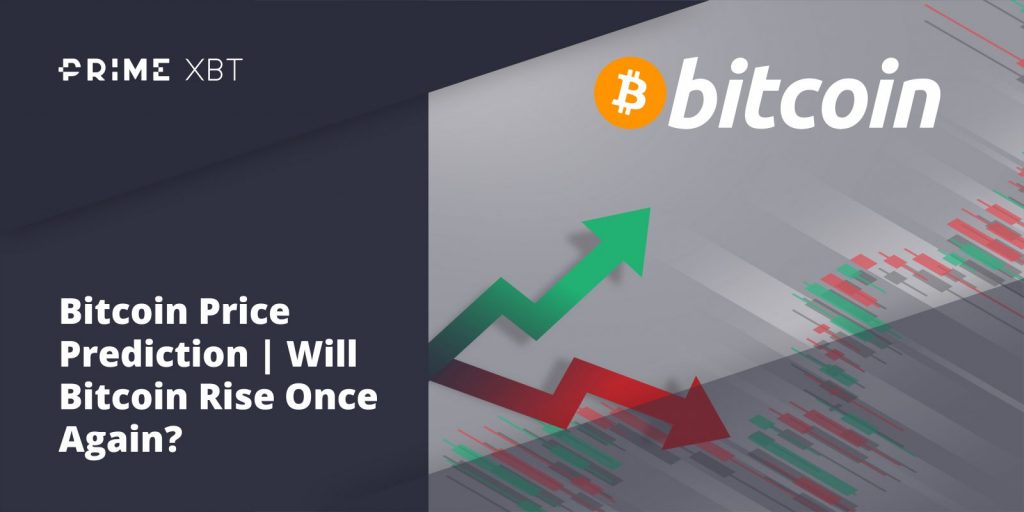 Will bitcoin price go up after halving