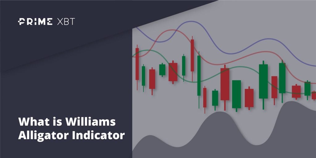 Williams Alligator Indicator - williams alligator indicator