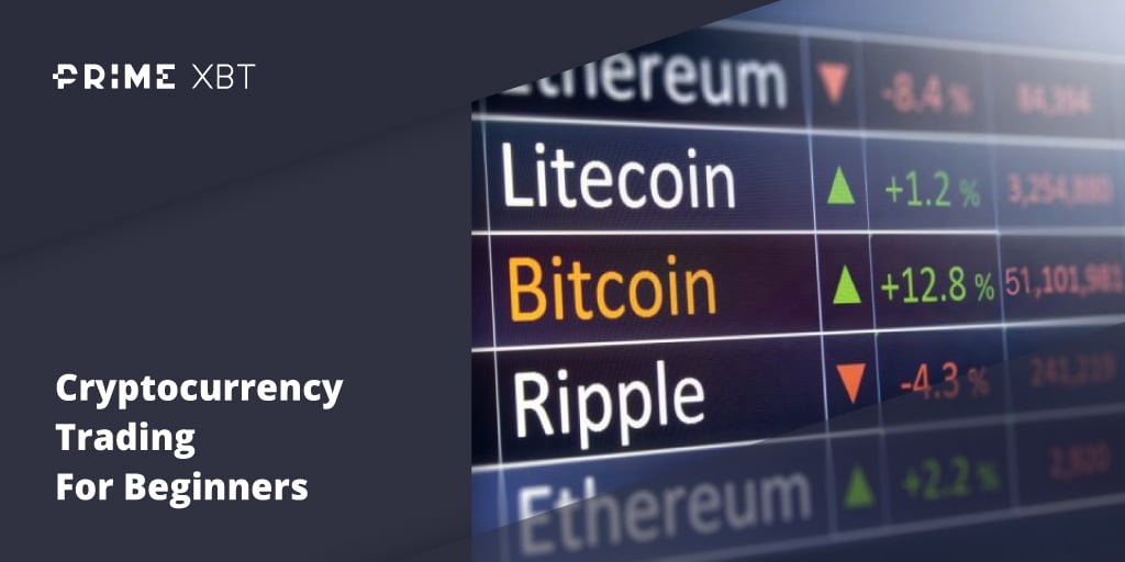 Cryptocurrency Trading For Beginners: An Introductory Guide To Trading Cryptocurrency  - Blog Primexbt 15 03