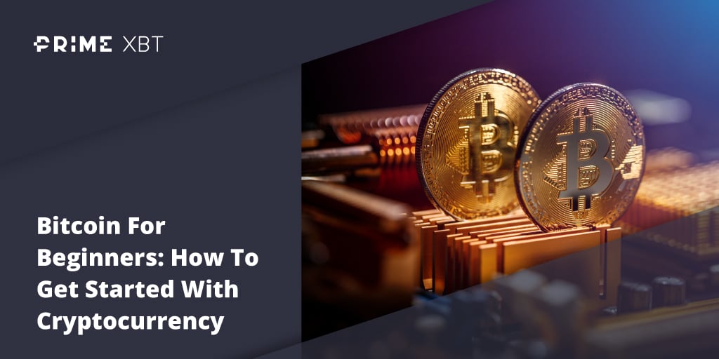Bitcoin For Beginners: How To Get Started With Cryptocurrency - Blog primexbt btc beginners