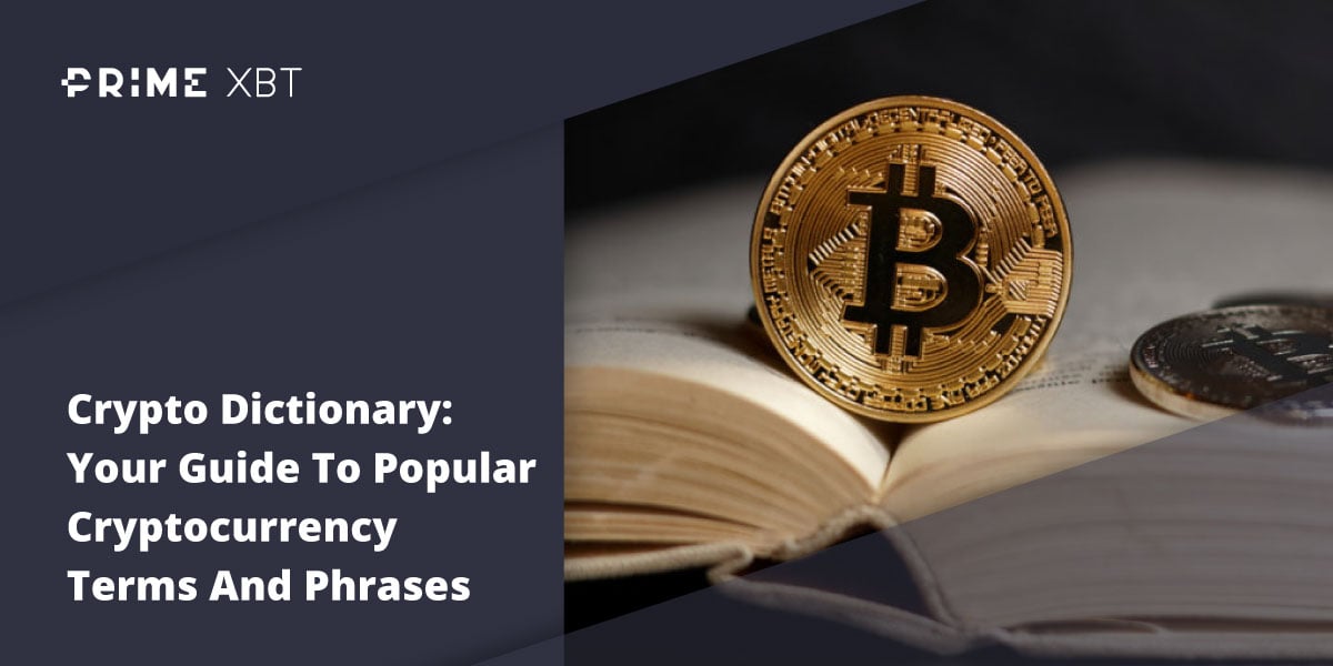 Crypto Dictionary: Your Guide To Popular Cryptocurrency Terms And Phrases - Blog primexbt 21 06