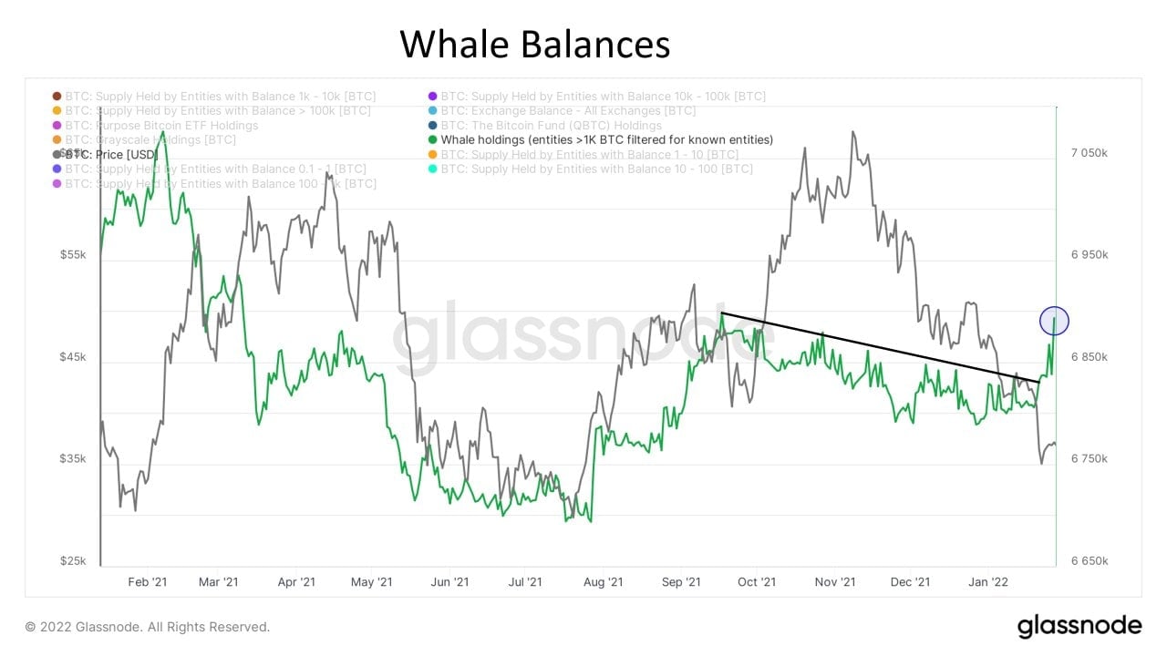 Stocks See Wild Volatility While $33,000 Mark Manages To Save BTC From Further Decline - BTC whale balance