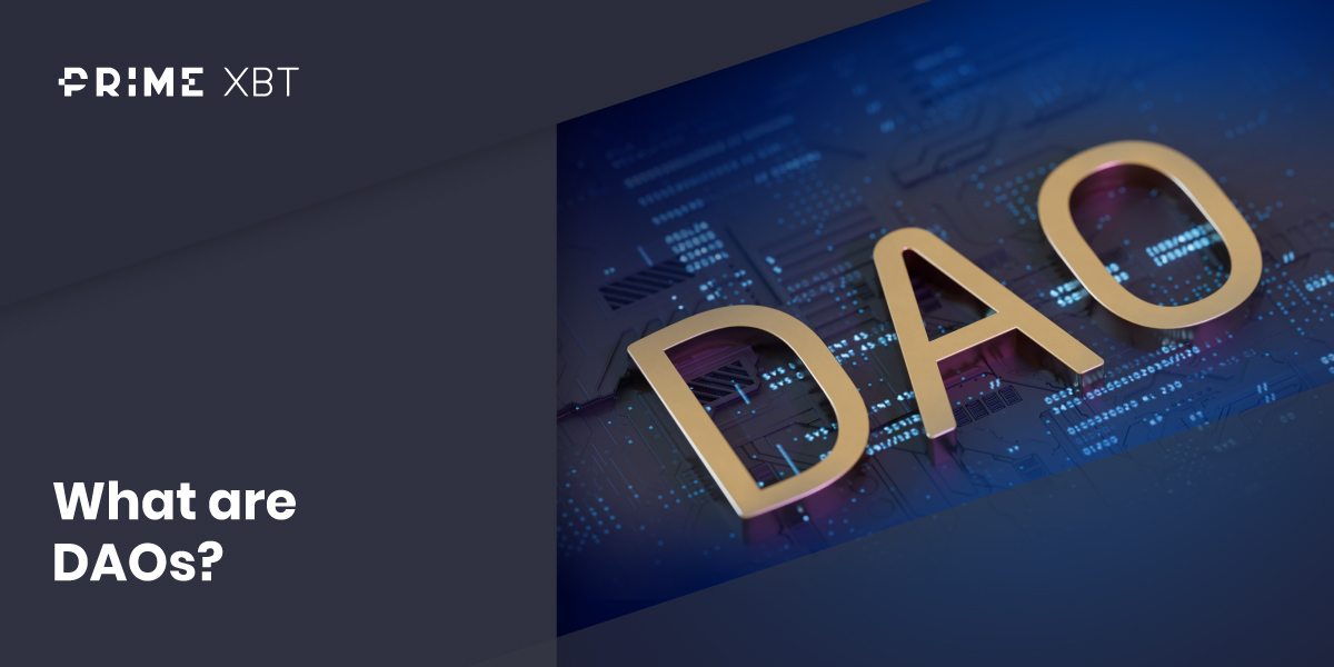 What is a DAO, and How Does it Work? - What are DAOs