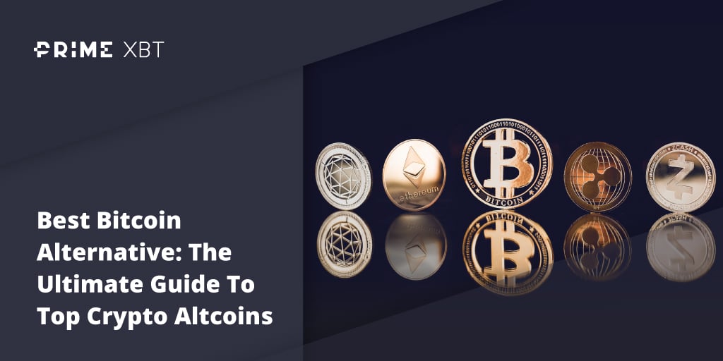 Best Bitcoin Alternative: The Ultimate Guide To Top Crypto Altcoins - Blog Primexbt 18 02