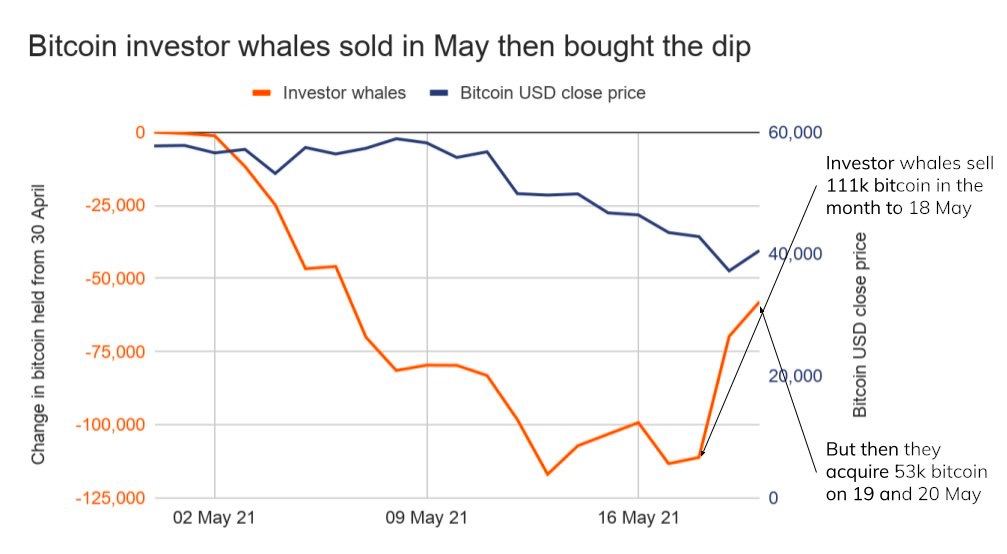 Market Research Report : Crypto Crashes Down as China Calls Ban While Stocks Have Rollercoaster Week - BTC whale May movement