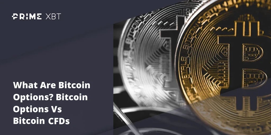 What Are Bitcoin Options? Bitcoin Options Vs Bitcoin CFDs  - Blog primexbt btc 1