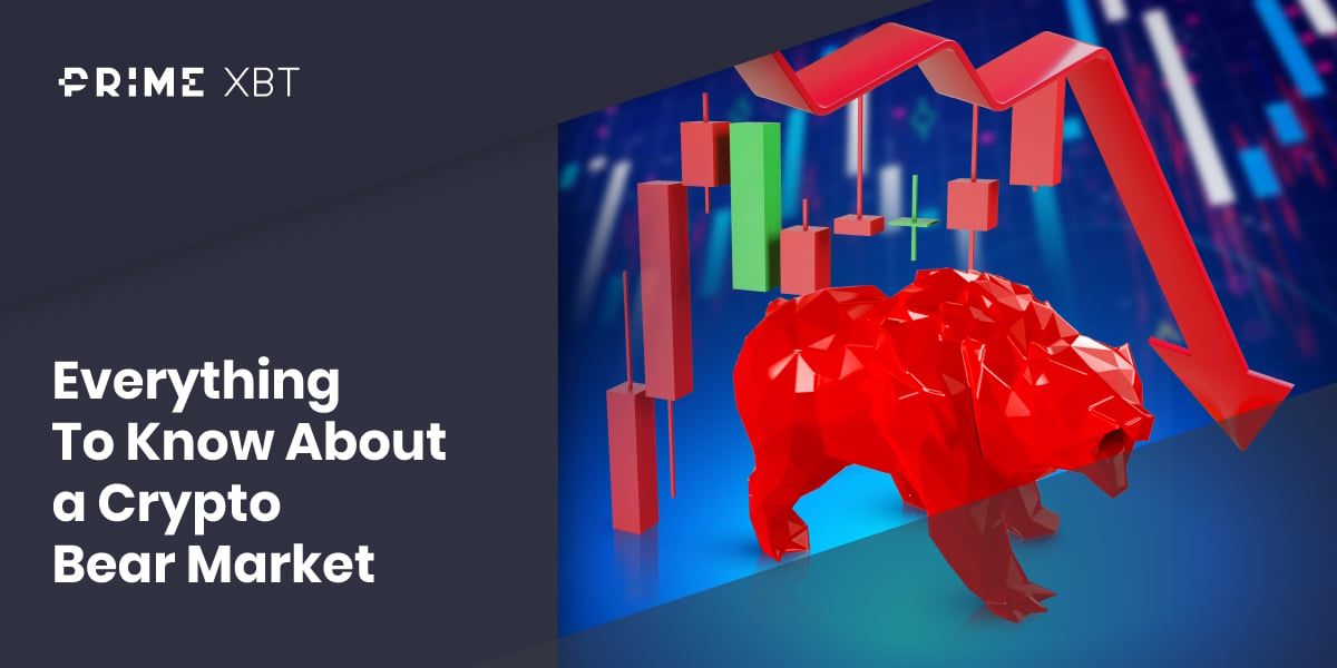 Everything To Know About a Crypto Bear Market - 246