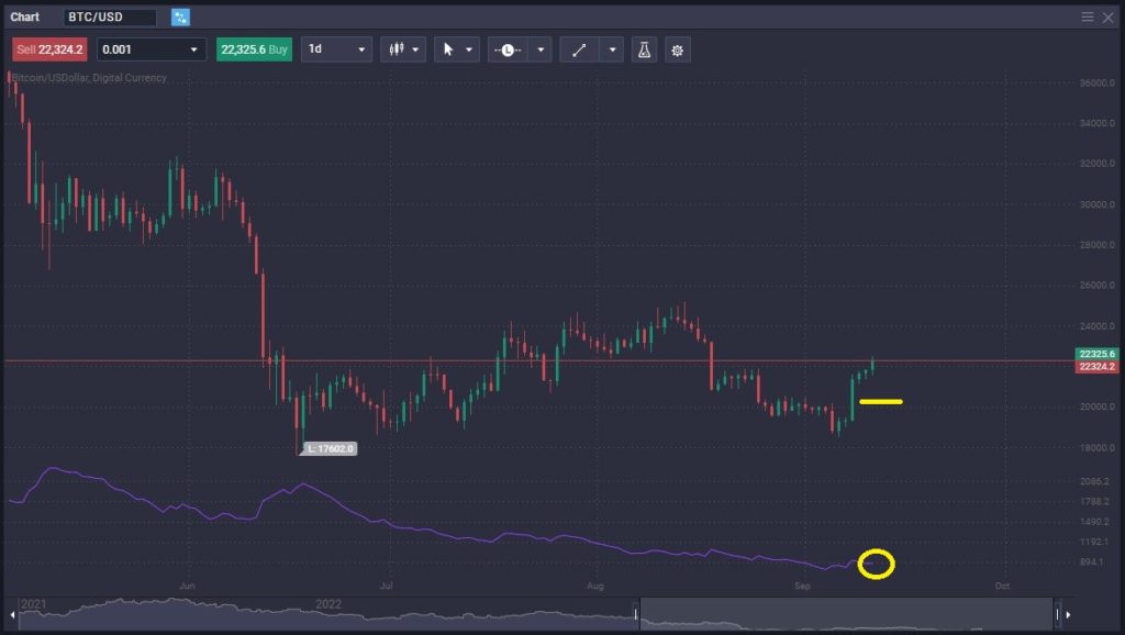 3 Kinds Of Connect PrimeXBT Trading Bot: Which One Will Make The Most Money?