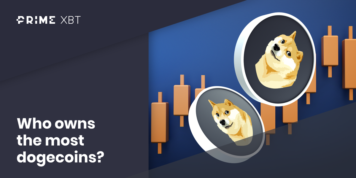 Who Owns the Most Dogecoin? How Many DOGE Holders Are There? - Who owns the most dogecoins