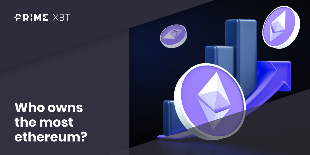 Who Owns the Most Ethereum? - Who owns the most ethereum