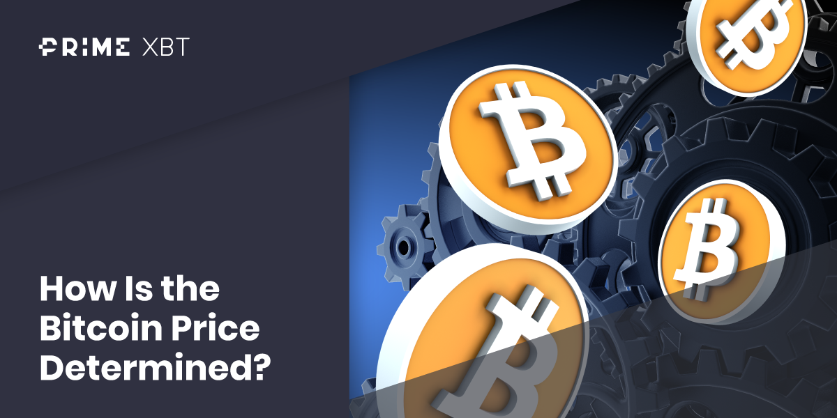 How Is the Bitcoin Price Determined? - How Is the Bitcoin Price Determined