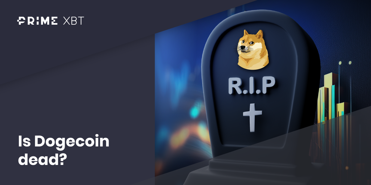 Is Dogecoin Dead? Will DOGE ever go back up? - Is Dogecoin dead2