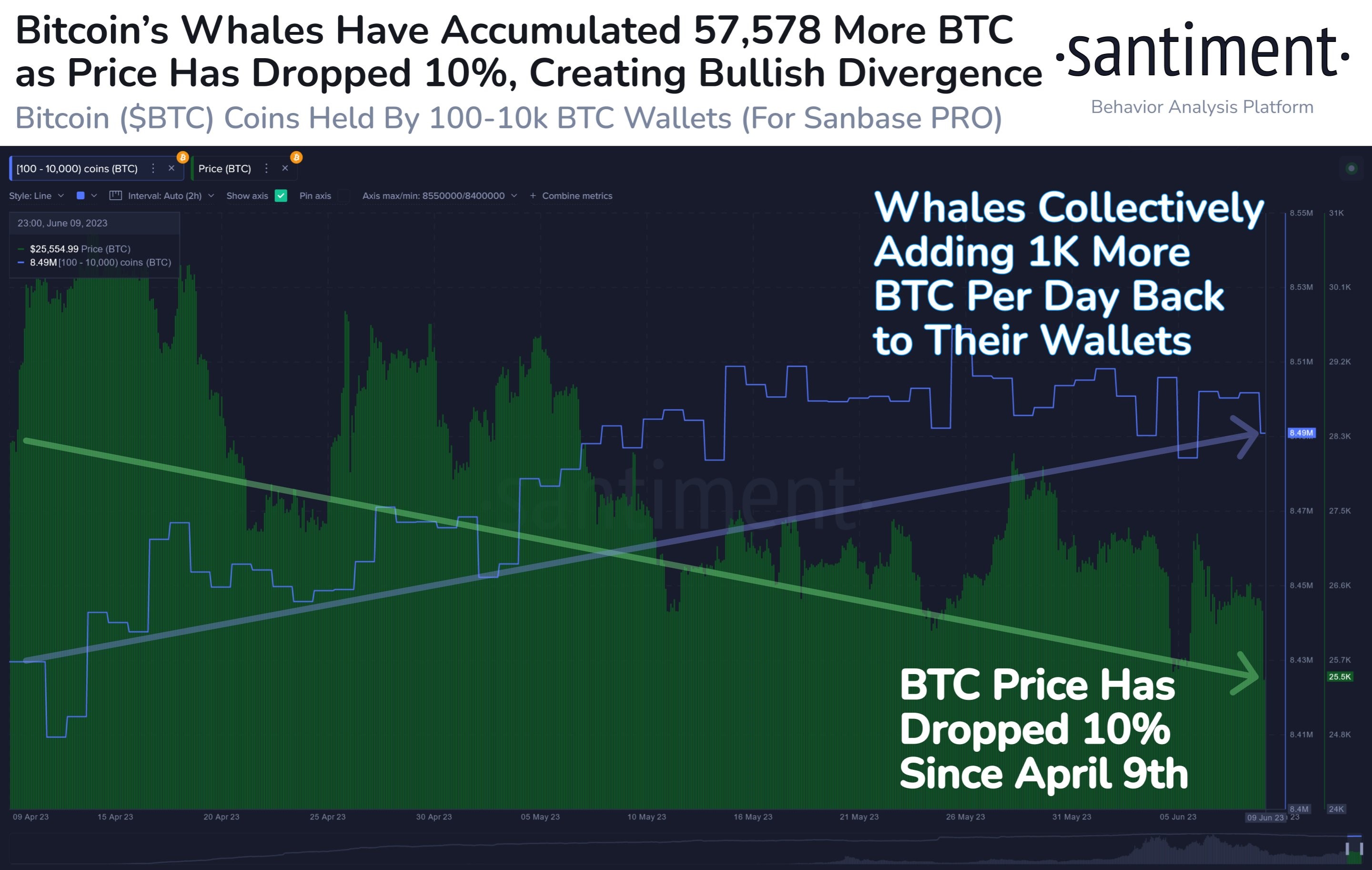 Market research report: Altcoins crushed on SEC’s new crypto witch hunt, stocks flat ahead of FED meeting - BTC Whale Acc