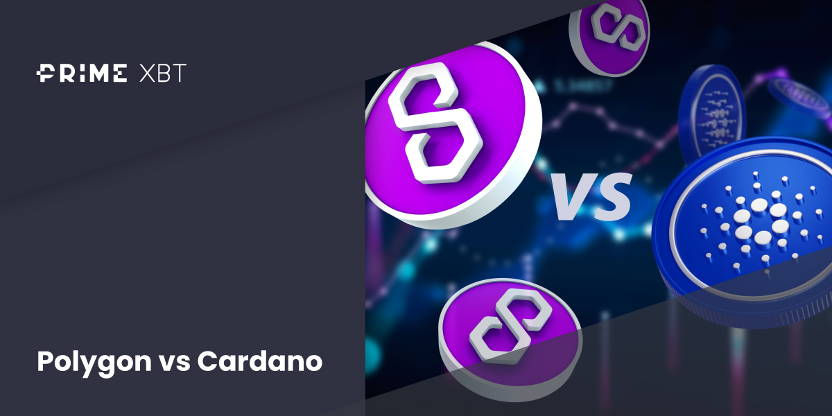 Polygon vs Cardano: A Comprehensive Comparison - Blog 270