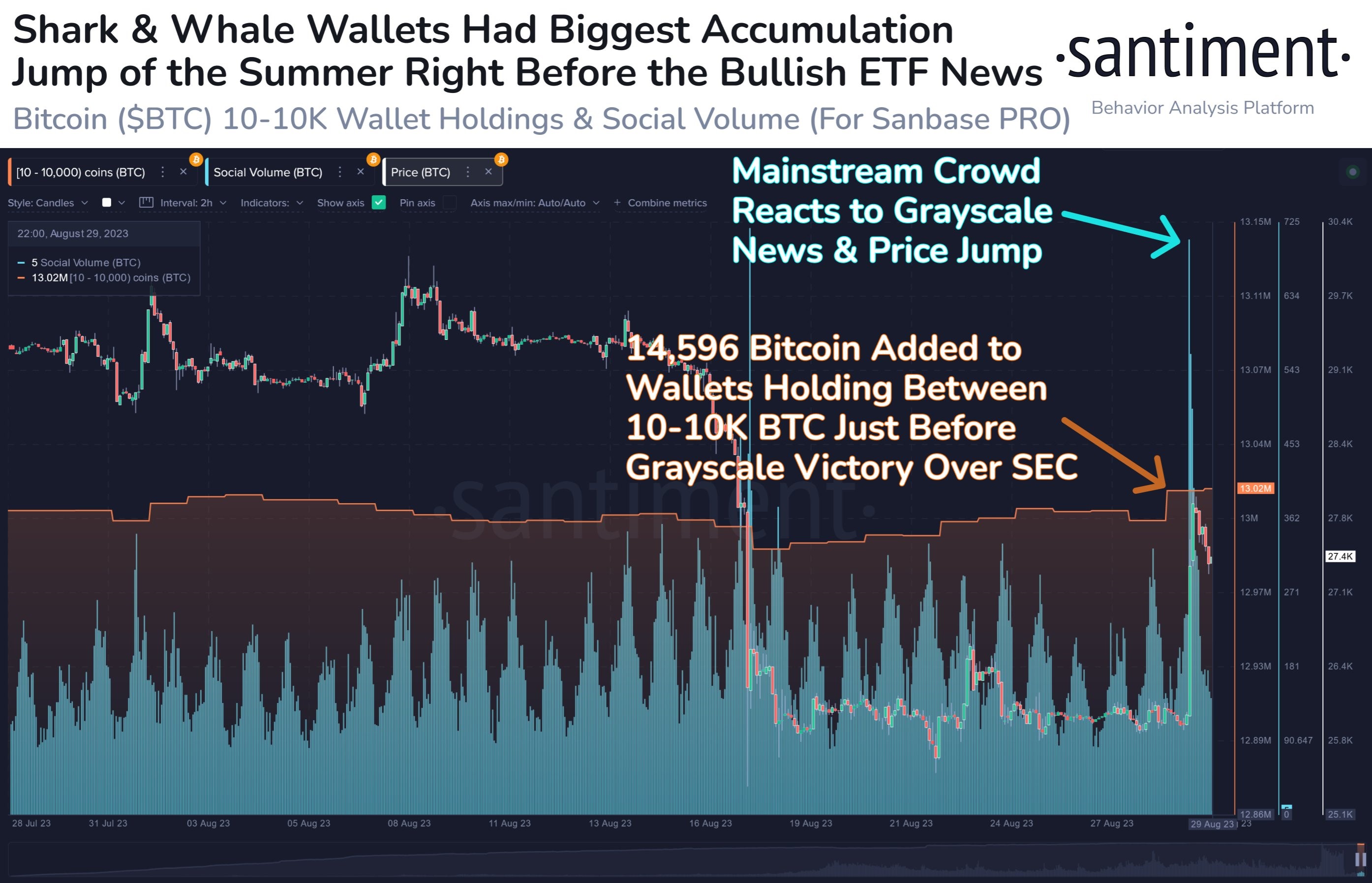 Market research report: Bearish round-trip makes BTC look vulnerable as altcoins begin to look more attractive - BTC insider