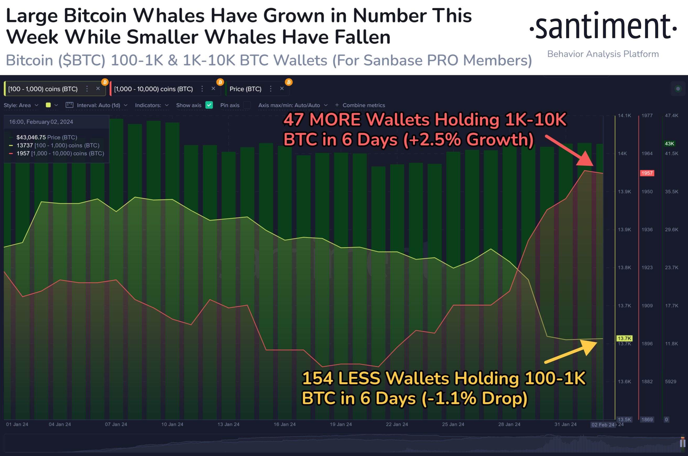 Market research report: BTC manages to hold above $40,000 in spite of dollar strength, stocks gain as US data beats - BTC whale movement