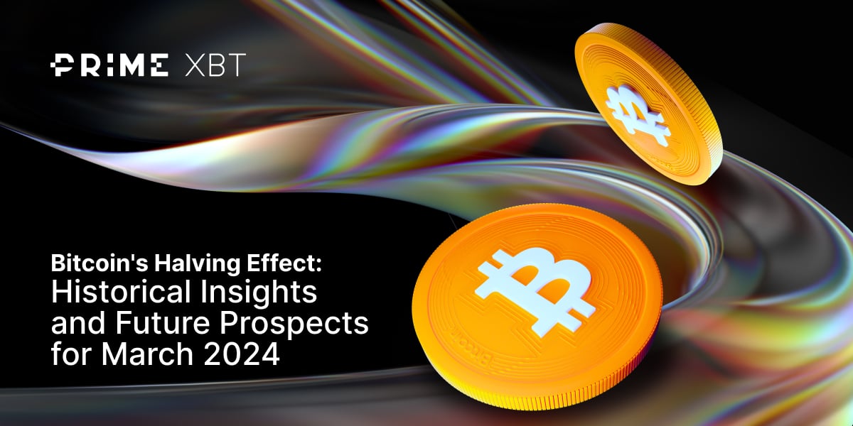 Bitcoin's Halving Effect: Historical Insights and Future Prospects for March 2024 - Bitcoin Halving Effect in the Past and Predictions for 2024
