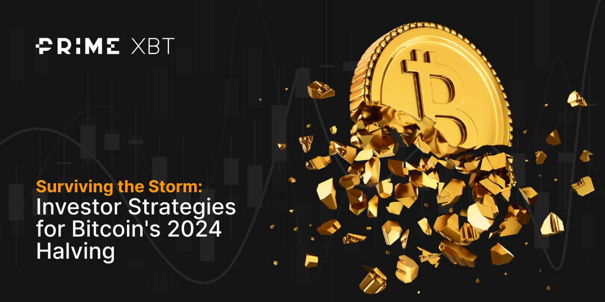 Surviving the Storm: Investor Strategies for Bitcoin's 2024 Halving  - News article 1200x600 12 02 2024