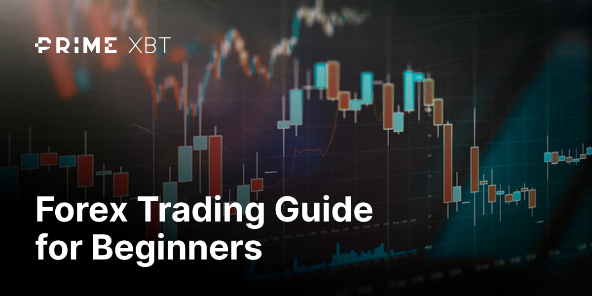 Forex trading guide for beginners - blog 332 1200x600
