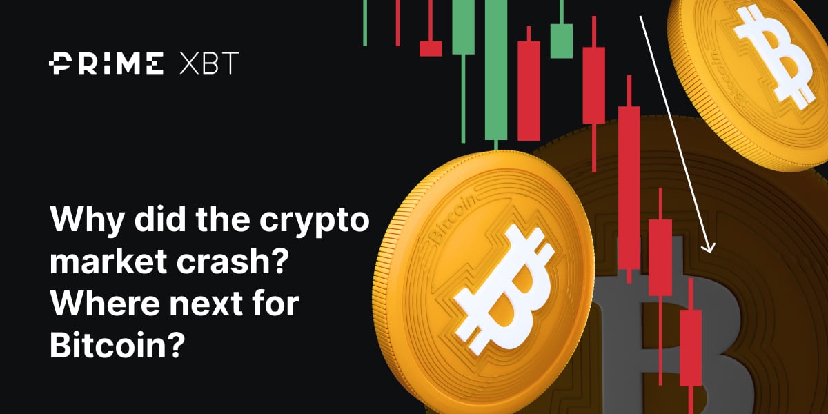 Why did the crypto market crash? Where next for Bitcoin? - News article 1200x600 18 03 2024