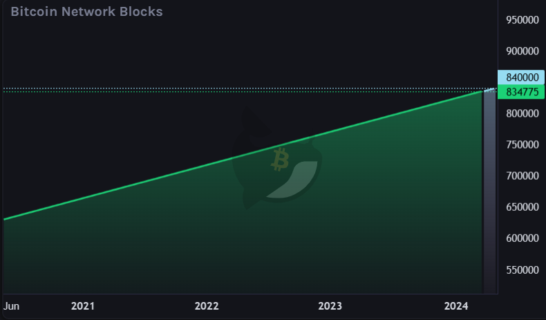 Will Bitcoin halving come sooner than expected? - bitcoin network blocks progress