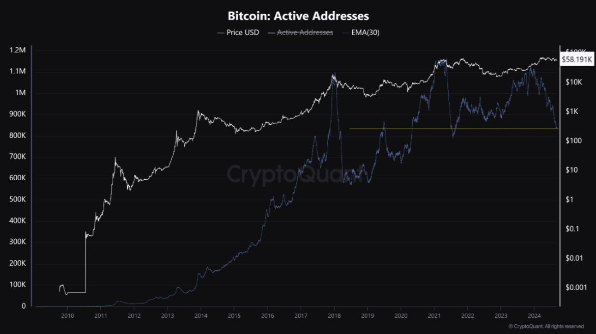 Bitcoin recovers from 53k: Stocks slump & US inflation data & presidential debate in focus - active addresses