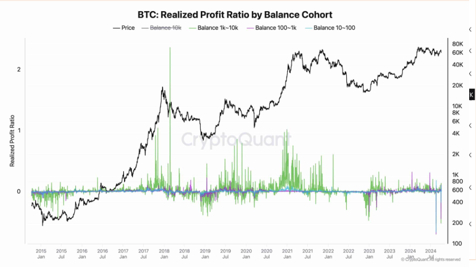 Bitcoin recovered from 60k. BTC ETFs see weekly outflows, but whales hold steady. US inflation data is in focus. - btc whale profit