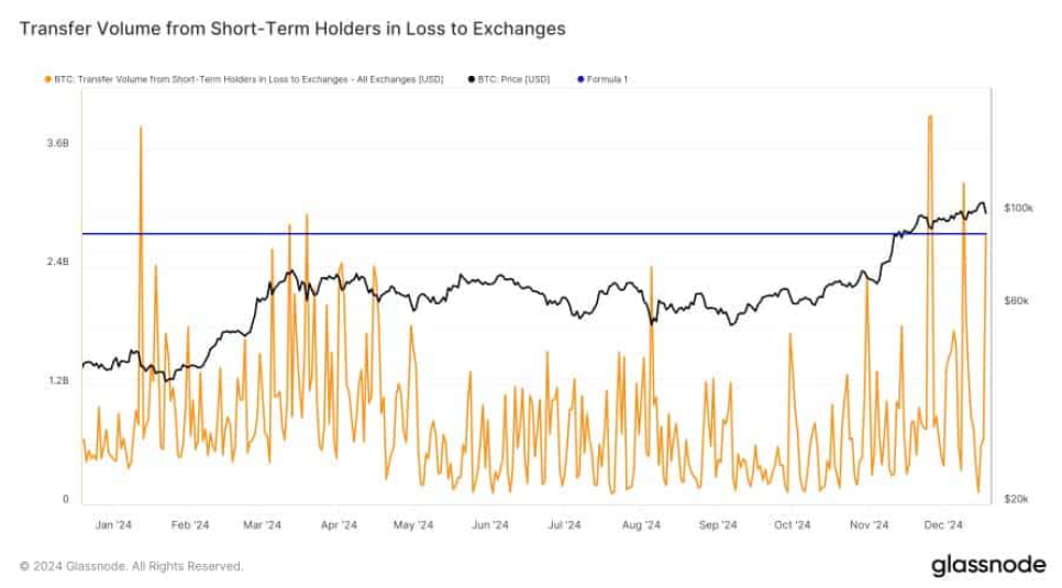 Bitcoin falls to 95k, BTC ETFs see record outflows, but a supply shock could be coming - shorterm holders 23 12 2024