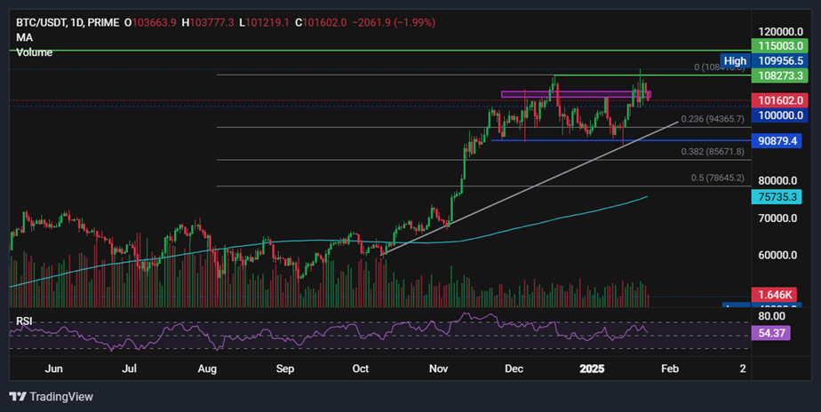 BTC slips towards 100k: AI coins fall despite Trump’s announcement - BTCUSD 42