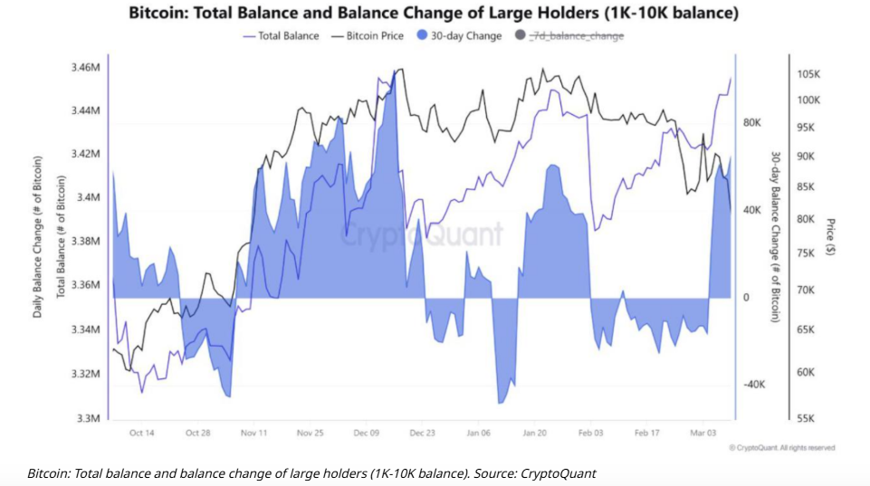 Bitcoin stabilises at around 83k, with the FOMC and trade tariff worries in focus. Is this cycle already past its peak? - BITCOIN whales 17032025