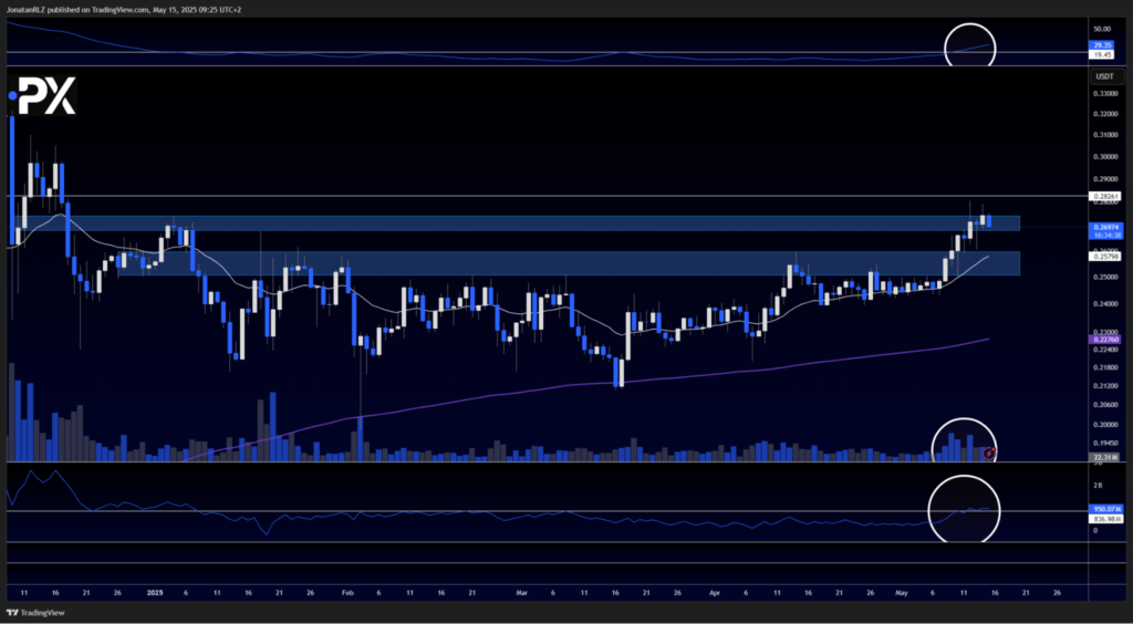 TRX (TRX/USD) showing relative strength as it tests key resistance levels - image2 10 1024x564
