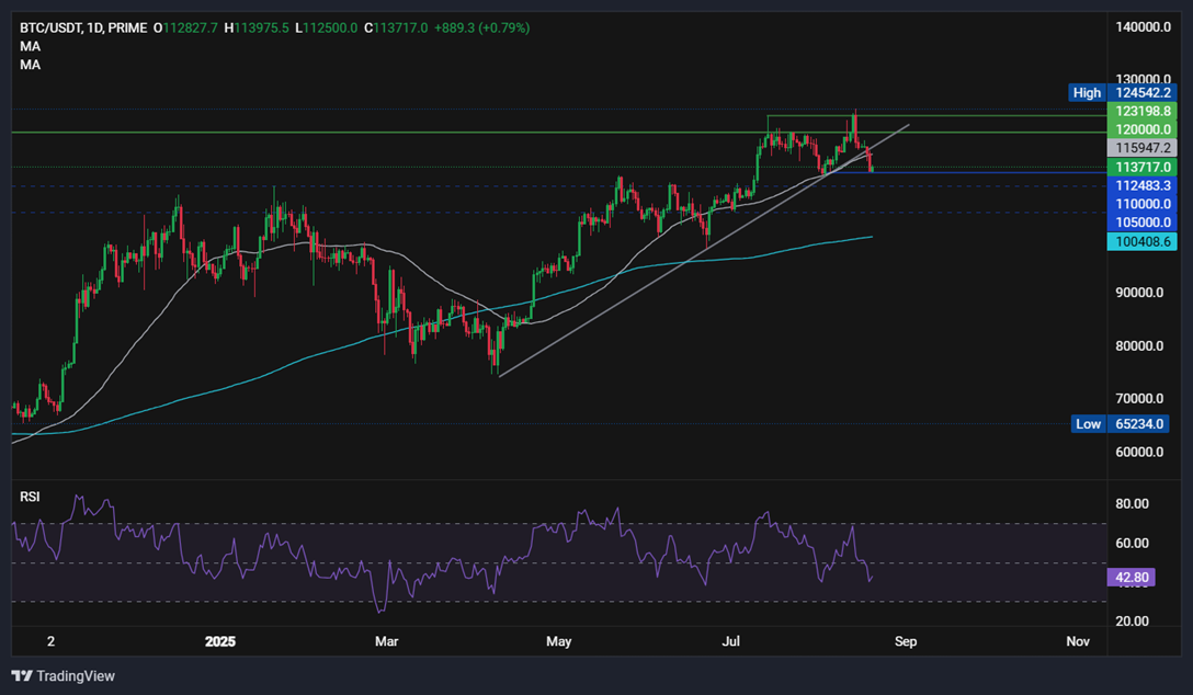 BTC steadies at 113k. Is it time to buy the dip? - BTCUSD 12