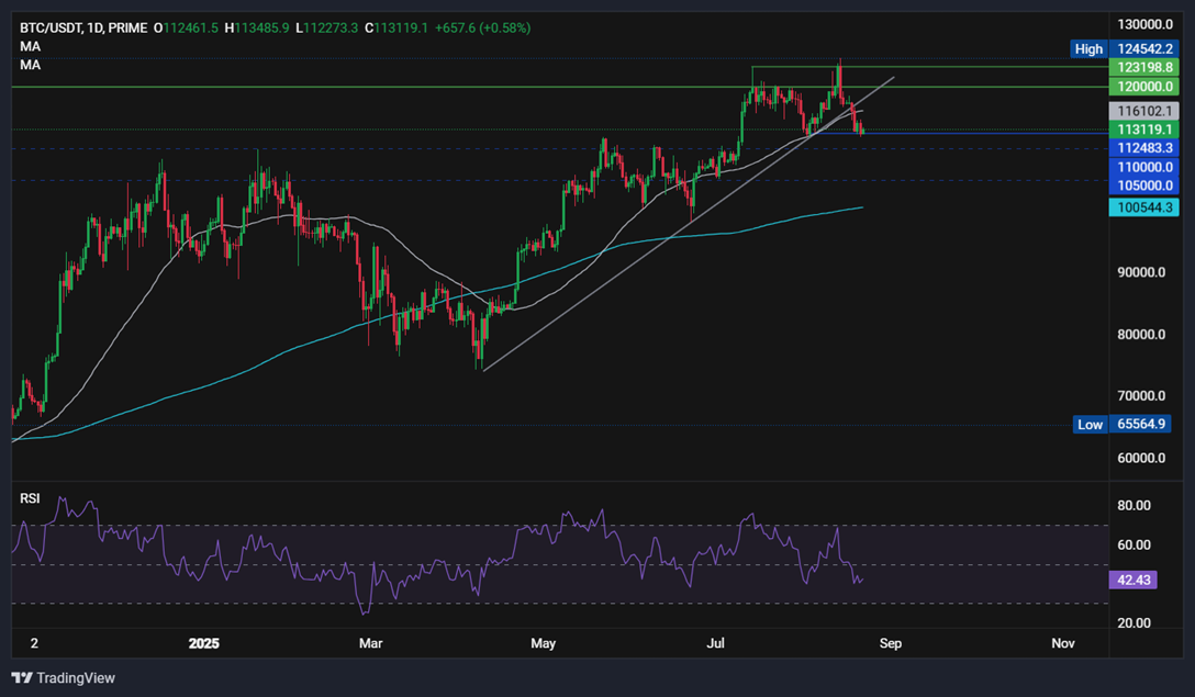 BTC, XRP steady ahead of Powell's Jackson Hole Speech - BTCUSD 14
