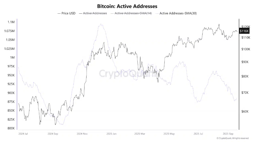 Bitcoin Faces Flash Crash, But Long-Term Holders Signal Bullish Q4  - BTC active addressses 22092025