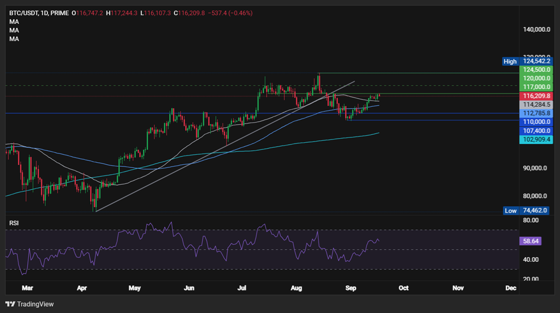 BTC’s Best September in a Decade? Investors Eye Fed Rate Cuts - BTCUSD1709