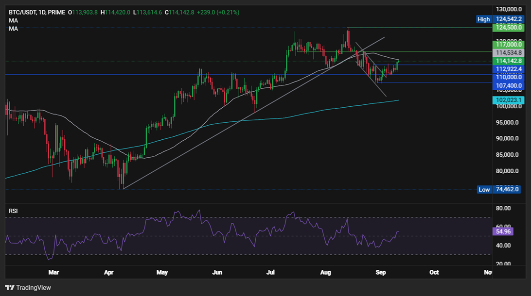 Gold trades at record highs, is it BTC’s time to shine? - btc 1