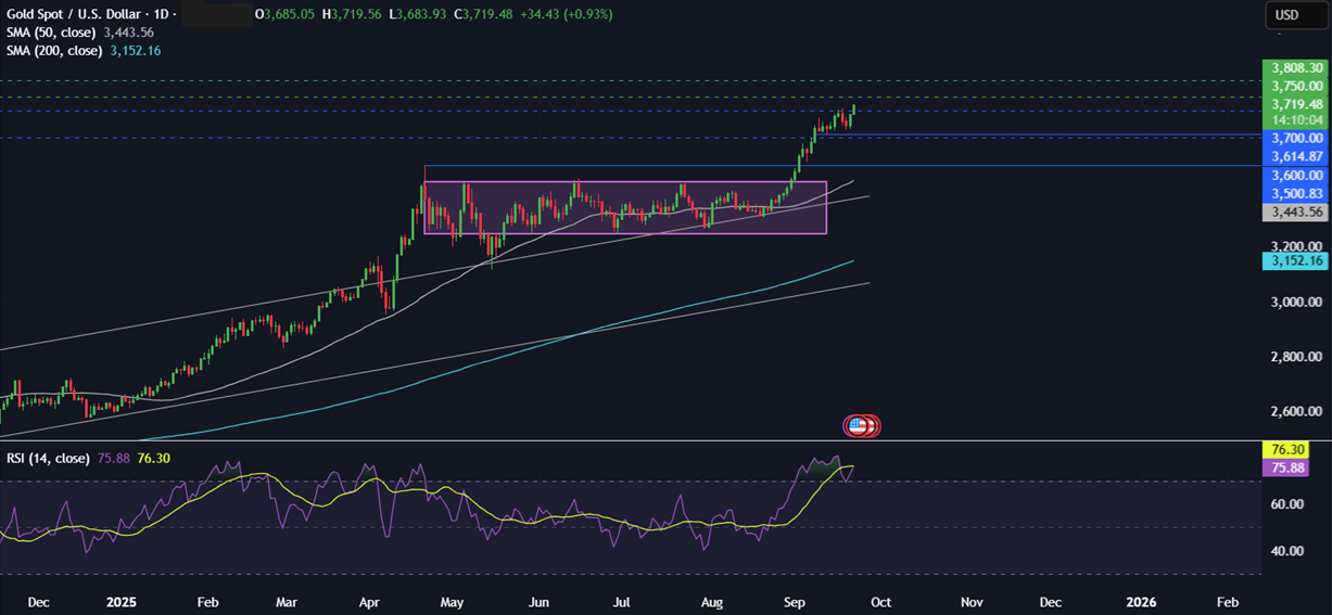 Bitcoin Faces Flash Crash, But Long-Term Holders Signal Bullish Q4  - gold 22092025