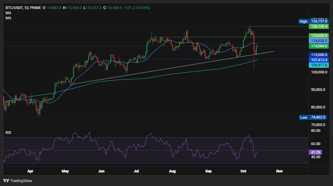 From Panic to Potential: Why Bitcoin’s $19B Wipeout Could Spark the Next Rally - BTCUSD 1
