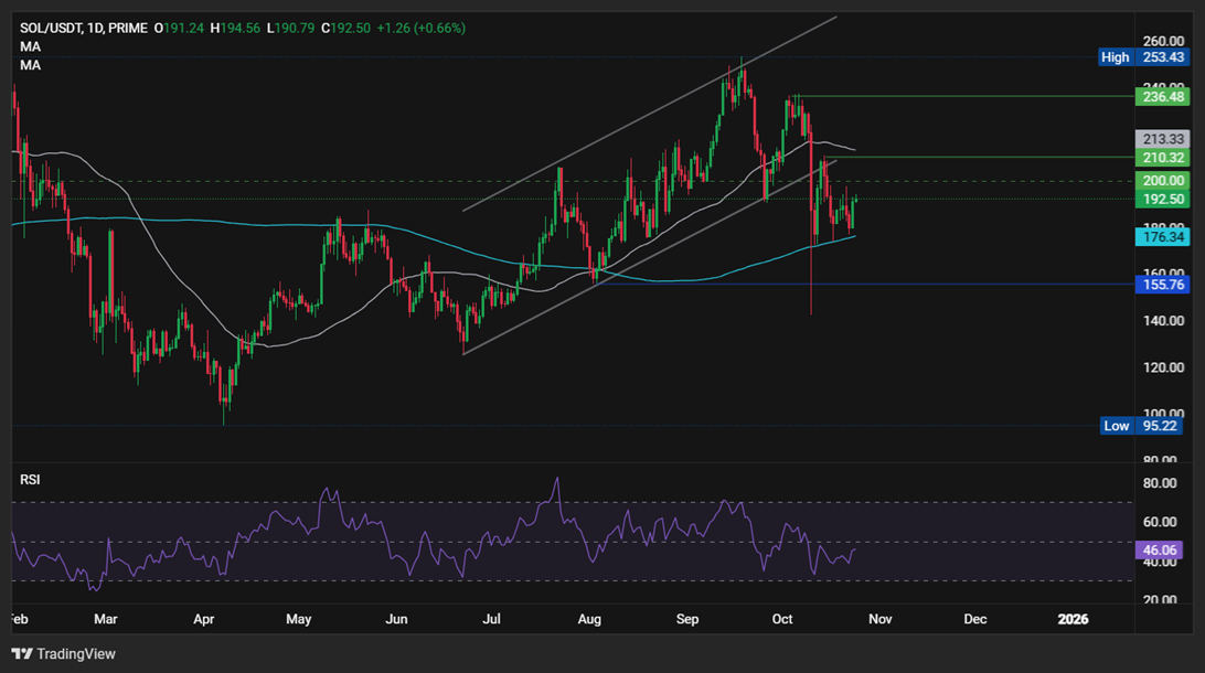 BTC Rises Ahead of CPI data. SOL is Boosted By Institutional Demand BTC Rises Ahead of CPI data. SOL is Boosted By Institutional Demand - SOLUSD 2