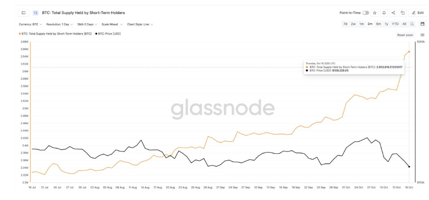Bitcoin Battles Back: Is the Bottom in After a Brutal 8% Slide? - STH total supply