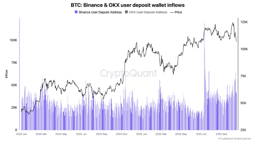 Bitcoin Battles Back: Is the Bottom in After a Brutal 8% Slide? - wallet inflows