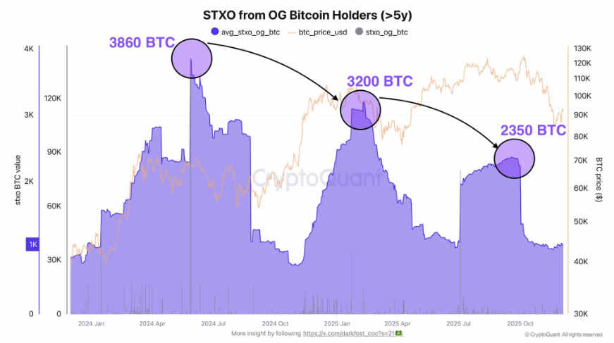 Bitcoin rises ahead of the Fed rate decision, but can this recovery be sustained? - BTC HLDRS 5YRS