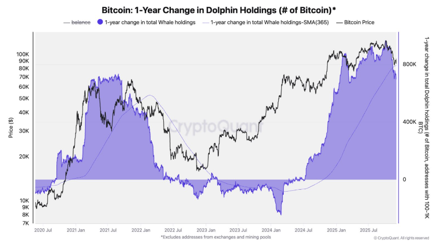 Bitcoin rises ahead of the Fed rate decision, but can this recovery be sustained? - Dolphins