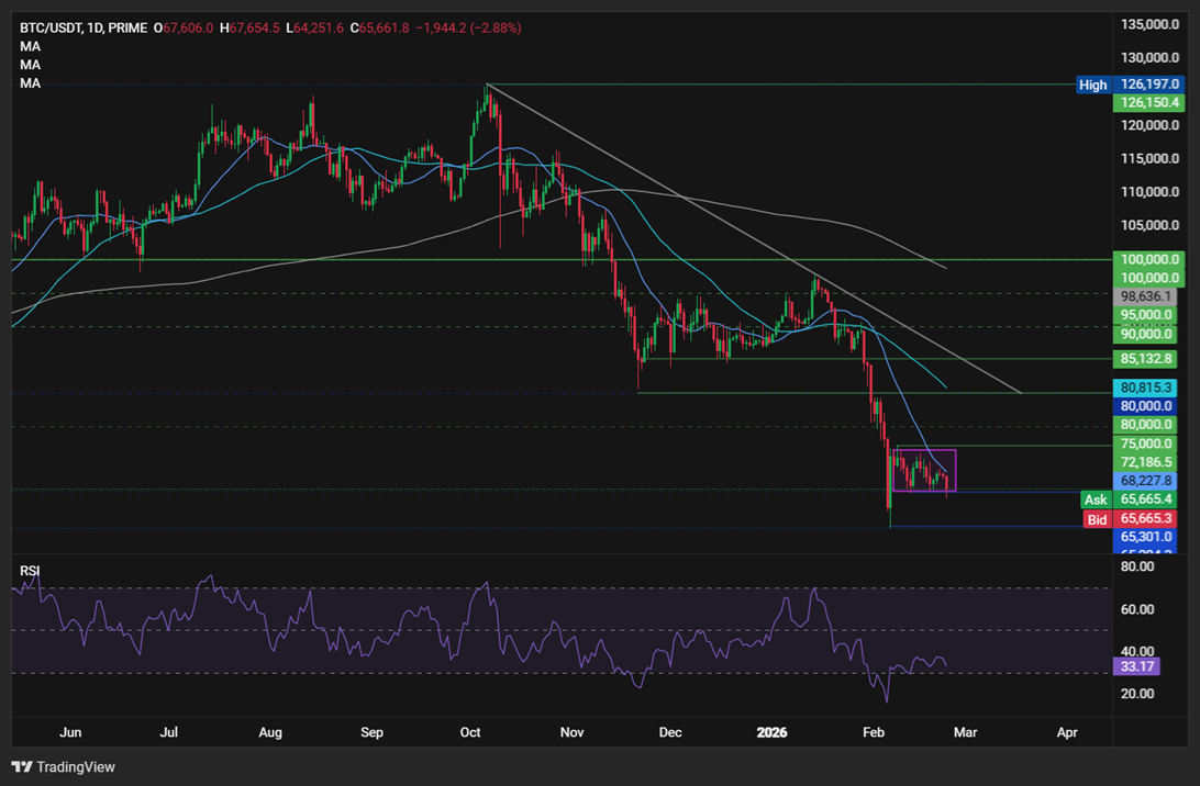 Bitcoin falls to 65k amid rising headwinds from Trump’s trade tariffs & the Fed rate outlook. Are more lows coming? Bitcoin falls to 65k amid rising headwinds from Trump’s trade tariffs & the Fed rate outlook. Are more lows coming? - BTCUSD 7