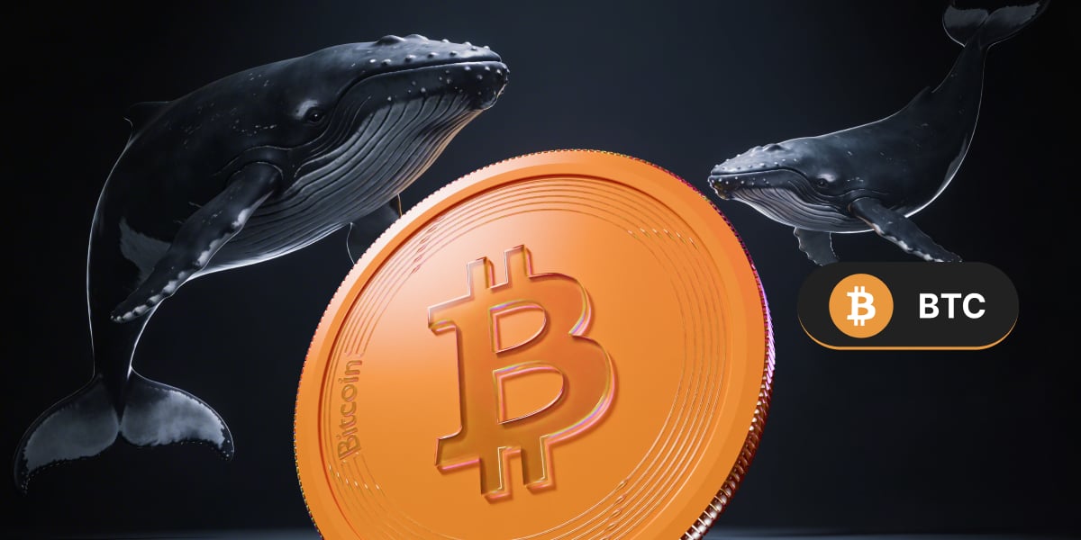 Bitcoin massively oversold as whales are buying, here are the key levels - BTC 01 1200x600 10.02.2026