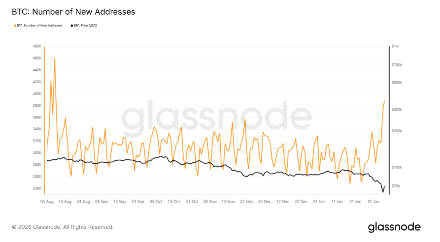 Bitcoin stabilises after sharp sell-off, but bearish risks persist - addressses